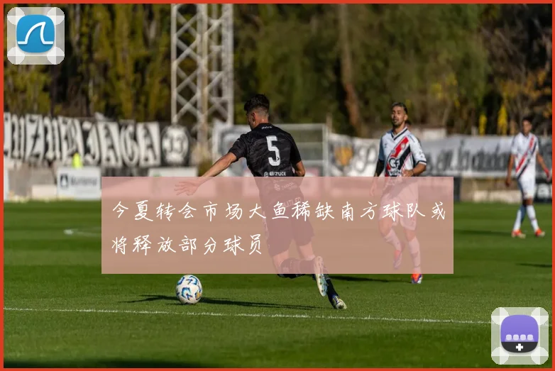 今夏转会市场大鱼稀缺南方球队或将释放部分球员